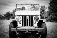 _JSW3906-2